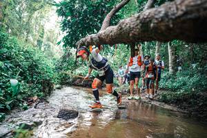 BIB: 
                            <button type="button" onclick="openModal(25369558)" class="btn btn-primary btn-sm float-right btn-popup" data-toggle="modal" data-target=".modal-high-quality">
                        <i class="fas fa-shopping-cart"></i> Add to Cart
                    </button>
                                            <button type="button" onclick="isThisMe(25369558, true)" class="btn btn-success btn-sm float-right btn-popup btn-isme hidden" data-toggle="tooltip" data-placement="bottom" title="นี่คือรูปของคุณใช่ไหม คลิกที่นี่เพื่อเอาเข้าอัลบั้ม">
                        <i class="fas fa-plus"></i> Add to album
                    </button>
                    <button type="button" onclick="isThisMe(25369558, false)" class="btn btn-warning btn-sm float-right btn-popup btn-isnotme hidden">
                        <i class="fas fa-ban"></i> Remove from album
                    </button>